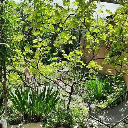 Apartament T.Belle Vue Panoramique Au Coeur Du Luberon 40M2 + Pergola . Jardin. P Apt Zewnętrze zdjęcie