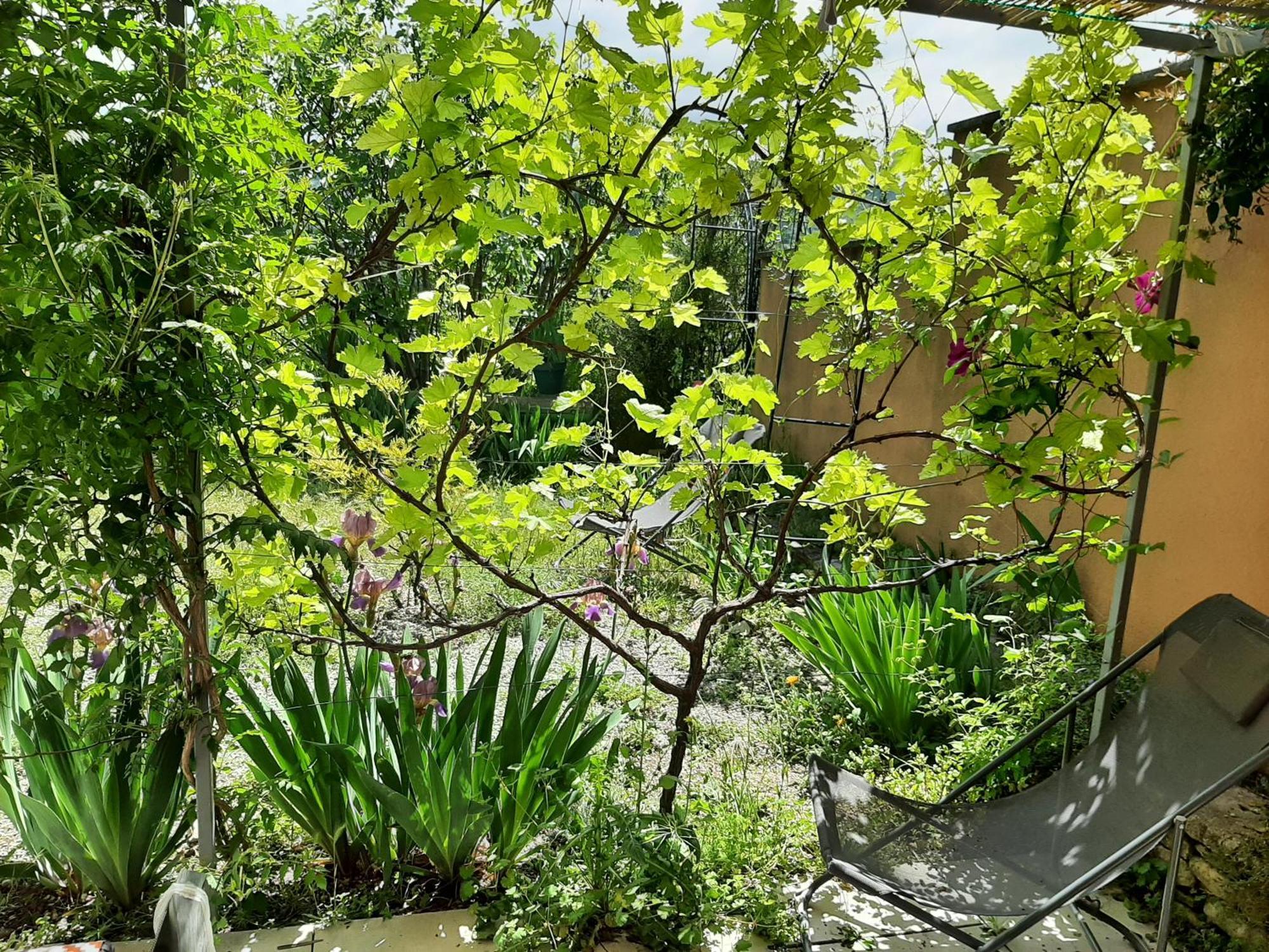 Apartament T.Belle Vue Panoramique Au Coeur Du Luberon 40M2 + Pergola . Jardin. P Apt Zewnętrze zdjęcie