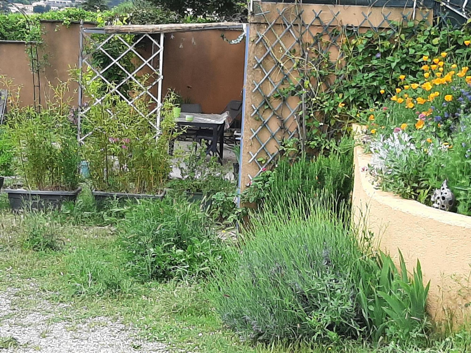 Apartament T.Belle Vue Panoramique Au Coeur Du Luberon 40M2 + Pergola . Jardin. P Apt Zewnętrze zdjęcie